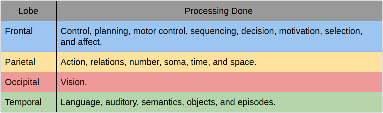 Overall responsibilities of the different lobes of the brain.